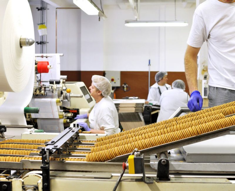 workers sort biscuits on a conveyor belt in a factory - production in the food industry